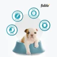 Fidele+ Starter Puppy Dry Dog Food