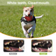 Wagging Master Treat Dispensing Interactive Hard Chew Dog Toy