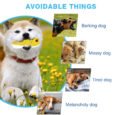 Wagging Master Slipper Chew Toy | Bite Resistant Rubber Dog Chew Toy