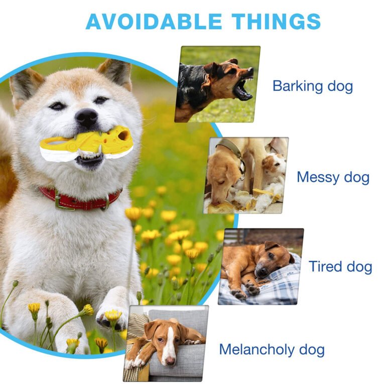 Bite-Resistant Dog Chewy Toy – Avoidable Things