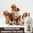 Forcans Long Coat Aloe Shampoo for Dogs