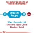 Royal Canin Medium Puppy Dry Food, Meat Flavor