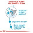 Royal Canin Medium Puppy Dry Food, Meat Flavor