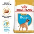 Royal Canin Boxer Junior Dry Dog Food