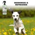 Wahl Doggie Eucalyptus and Spearmint Deodorant,237 ml