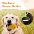 Wagging Master Mango Non Toxic Rubber Dog Toy | Tough Dog Chew Toys