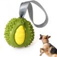 Wagging Master Interactive Dog Feeder Toy