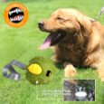 Wagging Master Interactive Dog Feeder Toy