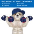 Wagging Master Round Dumbbell Puppy Chew Toy | Interactive Durable Rubber