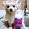 Earthbath Ultra-Mild Wild Cherry Puppy Shampoo