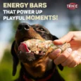 Trixie Fruits and Vegetables Energy Bars Dog Treats