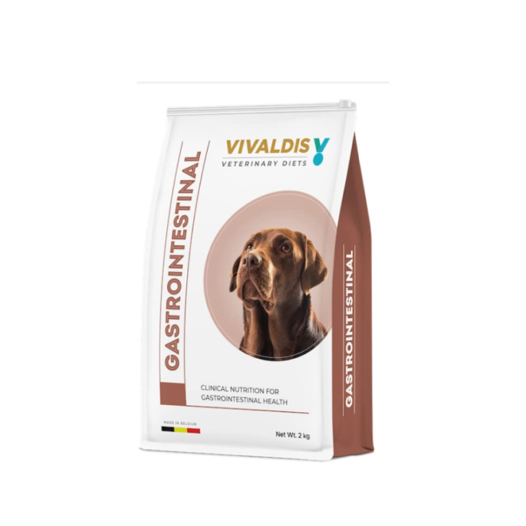 VIVALDIS-Gastrointestinal Dog Dry Food