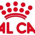 Royal Canin Renal Adult Cat Dry Food