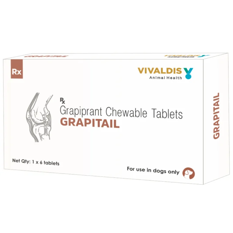 Vivaldis Grapitail 100mg (Grapiprant) Tablet for Dogs (1)