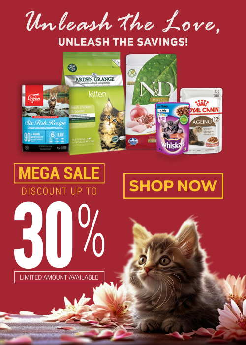 cat-food-banner-m-feb