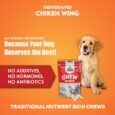 Chew Master Super Premium Dehydrated Chicken Wings for Dogs – High Protein, All-Natural, Single Ingredient, Grain-Free Dog Treats, Rawhide Alternative, Crunchy Chew for Small & Large Breeds (100G)
