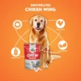 Chew Master Super Premium Dehydrated Chicken Wings for Dogs – High Protein, All-Natural, Single Ingredient, Grain-Free Dog Treats, Rawhide Alternative, Crunchy Chew for Small & Large Breeds (100G)