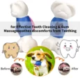 WAGGING MASTER Bear with Bag Chew Toys for Dogs – Interactive Durable Rubber Dog Toy