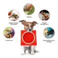 Wagging Master Slow Eating Dog Bowl | Non-Toxic Food Grade Natural Rubber Pet Bowl (Red, 2 & 6 Pocket)