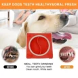 Wagging Master Slow Eating Dog Bowl | Non-Toxic Food Grade Natural Rubber Pet Bowl (Red, 2 & 6 Pocket)