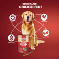 Chew Master Super Premium Dehydrated Chicken Feet for Dogs | High Protein Dog Treats
