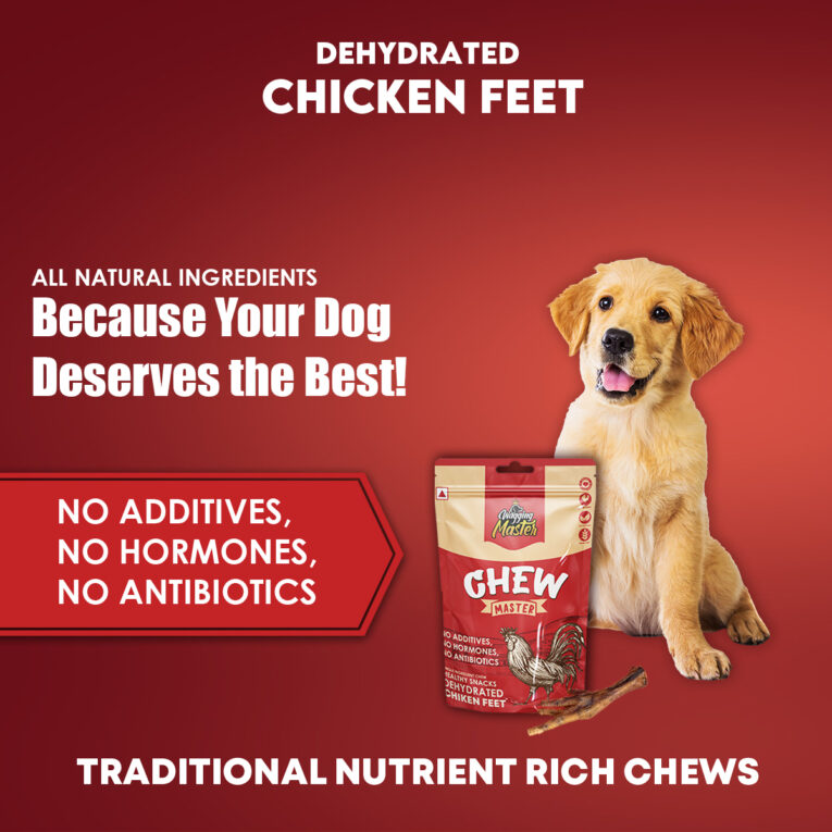 chicken-feet-3