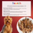 Chew Master Super Premium Dehydrated Chicken Feet for Dogs | High Protein Dog Treats
