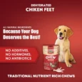 Chew Master Super Premium Dehydrated Chicken Feet for Dogs High Protein, Single Ingredient, All-Natural, Grain-Free Dog Treats, Rawhide Alternative, Supports Joint & Dental Health,Crunchy Chew 100 GM